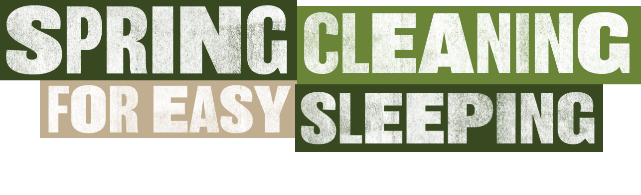 Spring clean sleep logo