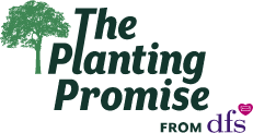 The Planting Promise